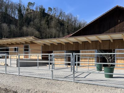 neuer stall mit auslaufboden